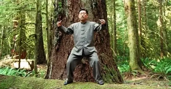 chi gung stand like a tree rules